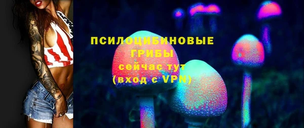 стаф Зеленодольск