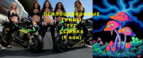 эйфоретик Инта