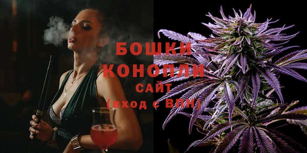 стаф Зеленодольск