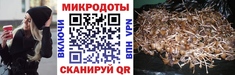 Галлюциногенные грибы Psilocybe  Купить  Болохово 